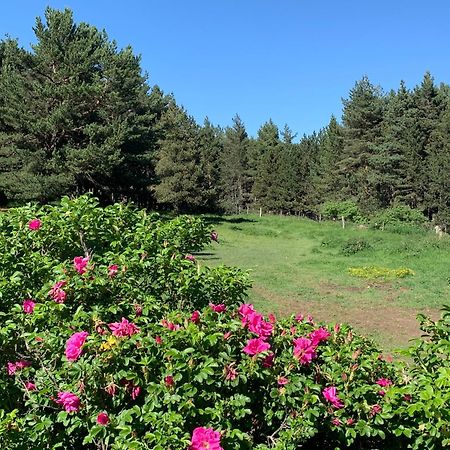 Gite Ranch Le Serpolet Лез-Англь Экстерьер фото