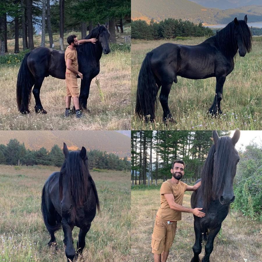 Gite Ranch Le Serpolet Лез-Англь Экстерьер фото