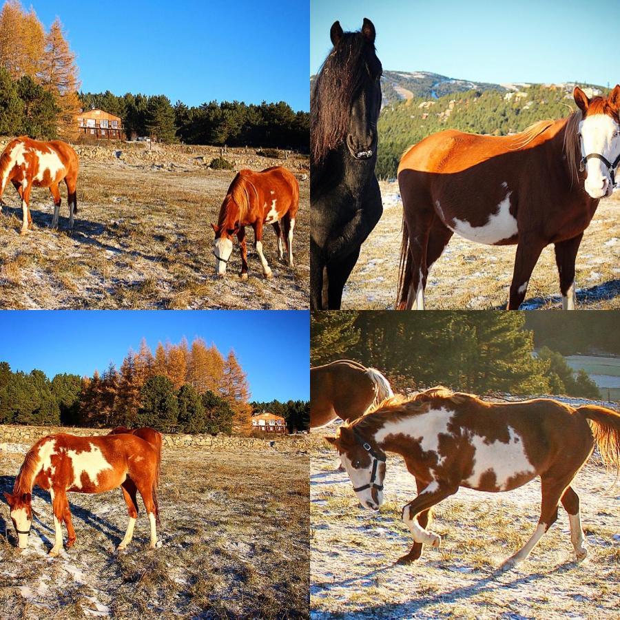 Gite Ranch Le Serpolet Лез-Англь Экстерьер фото
